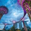 เที่ยว Gardens by the Bay ชม Supertrees ที่สิงคโปร์