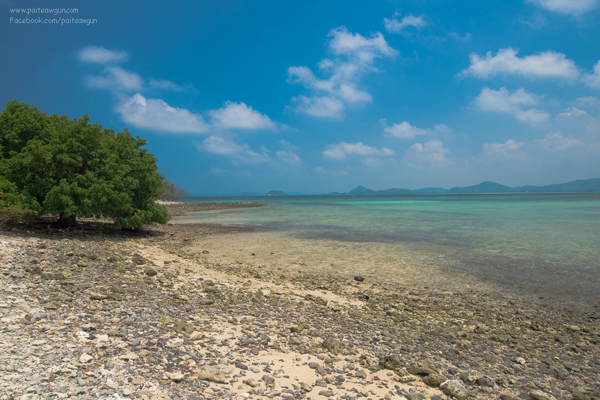 bluesea_koh_kham_sattahip_chonburi_thailand_-2