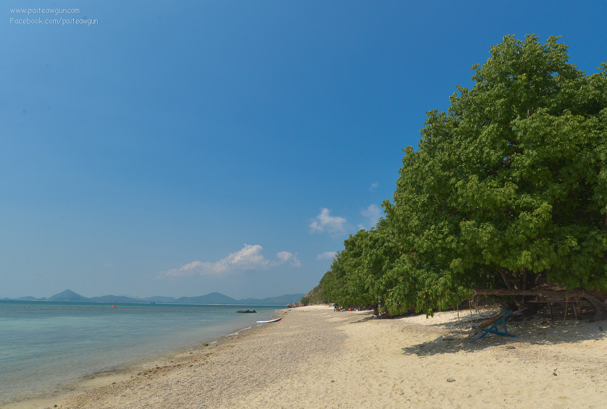 bluesea_koh_kham_sattahip_chonburi_thailand_-22