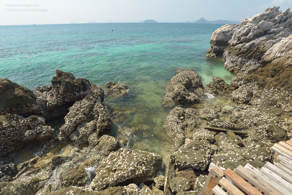 bluesea_koh_kham_sattahip_chonburi_thailand_-31